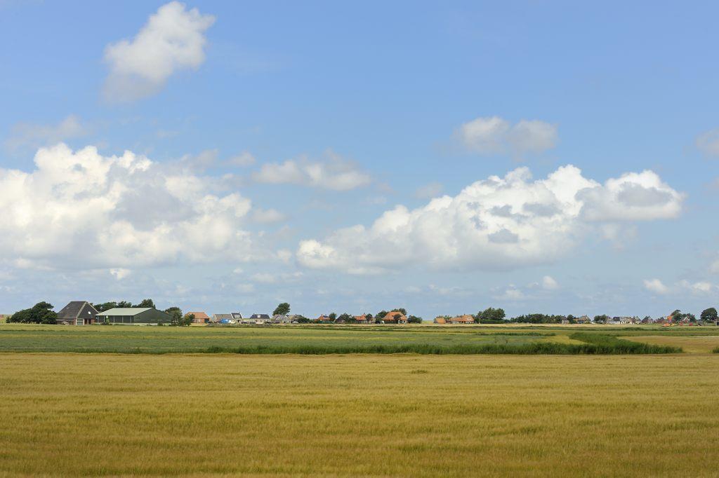 Beach-Dijkvilla Seaview Horizons Makkum Cameră foto