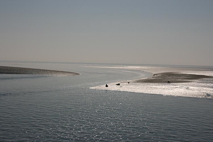 Beach-Dijkvilla Seaview Horizons Makkum Cameră foto